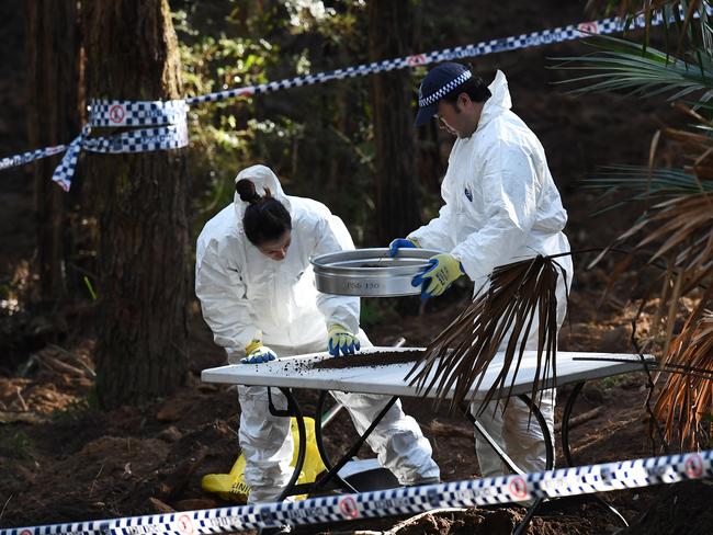 Forensics officers sift through dirt as they begin to exhume human remains found in bushland in the Royal National Park on June 1.