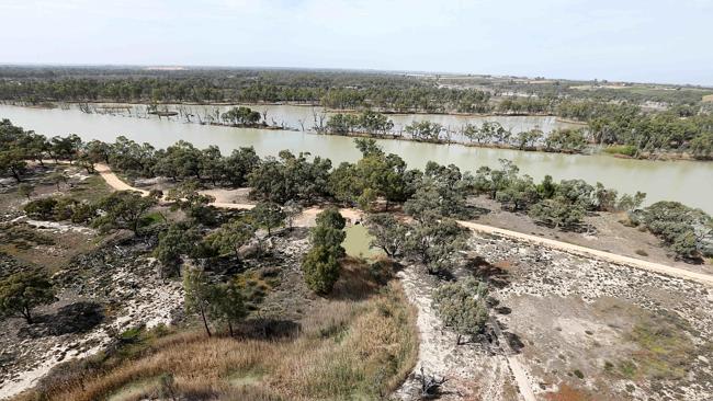 Banrock Station wetlands after the Murray River floodgates were opened. Picture: Simon Cross