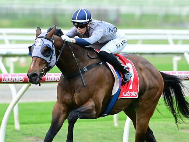 Emily Lang steers the Nick Walsh-trained gelding Hell to victory in a Class 4 race at Eagle Farm on October 12, 2024. Picture: Grant Peters Photography