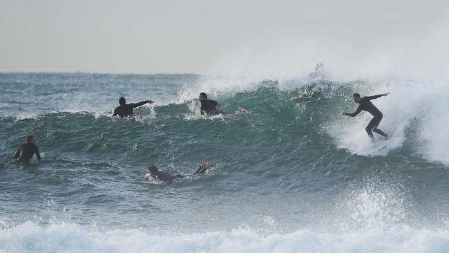 Surfers tackle the swell at Bronte. Picture: John Grainger