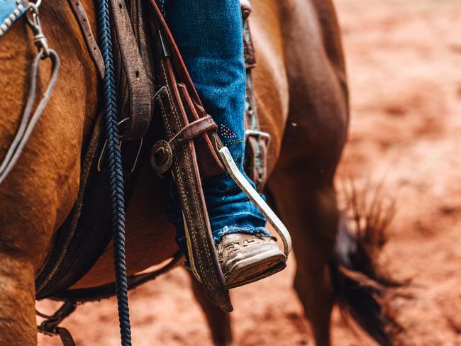 Juvie to go to trial over alleged rodeo rape