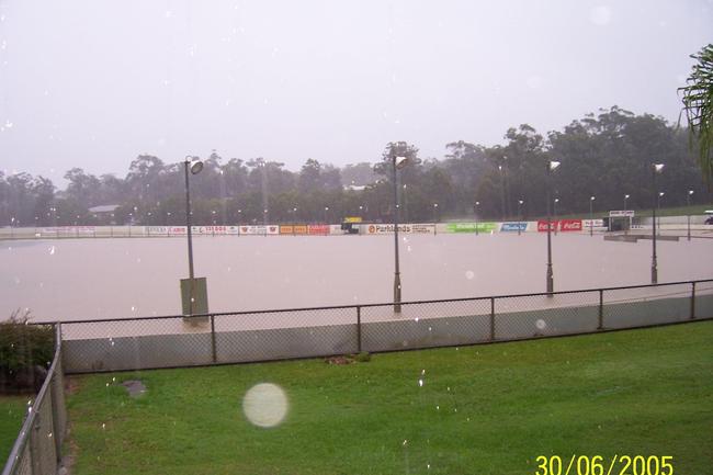 The grehounds would have had to dog paddle on June 30, 2005, when torrential rain flooded the Gold Coast Greyhound Racing Club's track at Parklands