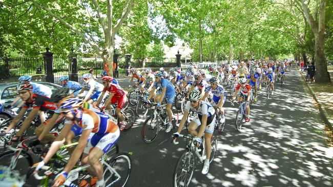 Tour Down Under cyclists make their way along the tree-lined Victoria Avenue, Unley Park. Picture: Sam Wundke