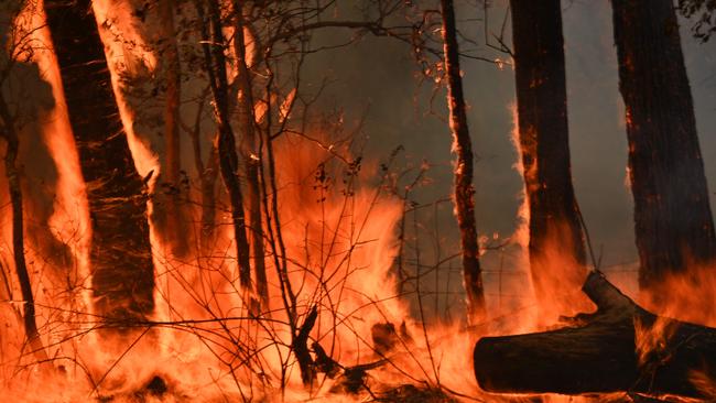 Taree has been hit hard during the NSW bushfires. Picture: AFP