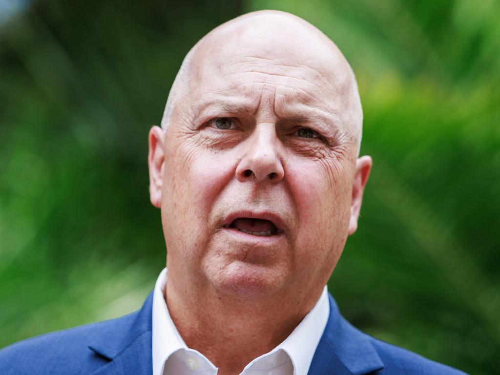 Former treasurer Tim Pallas had pledged to sack 5000 public servants in 2023. Picture: Aaron Francis