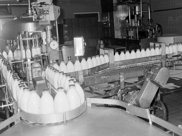 Milk bottling hall at South Coast Co-operative Dairy Association Ltd, Scarborough Street, Southport, in 1972. Picture: Bob Avery/Gold Coast Libraries Local Studies Collection.