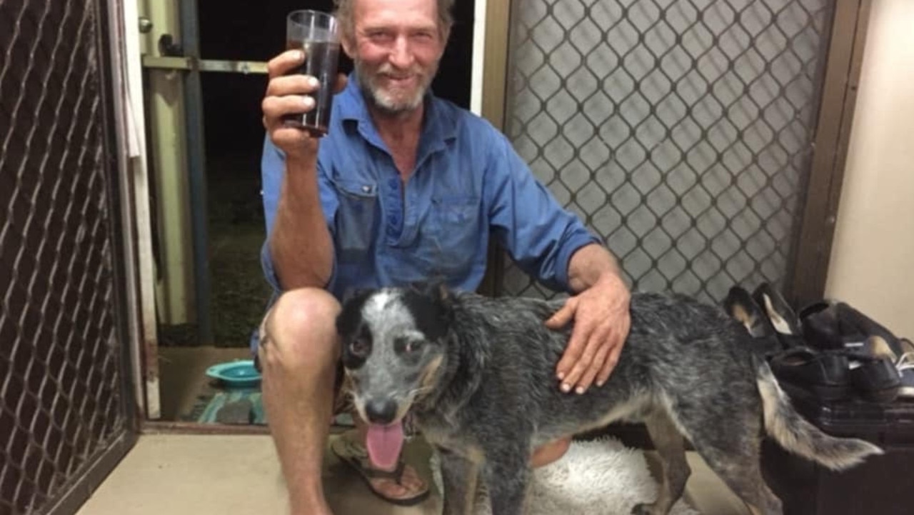 ‘He is definitely a character’: Truckie’s cattle dog missing after crash