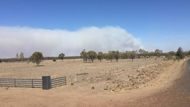 A shot of Kumbrilla State Forest near Dalby during the ongoing drought.