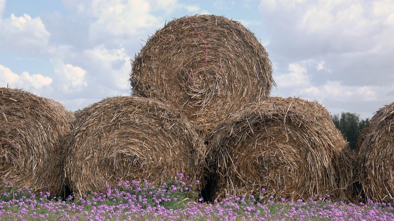 A woman was seriously injured after she was crushed by two 700kg hay bales.