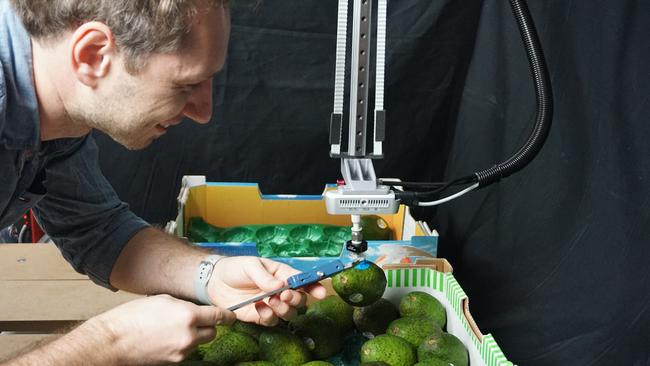 LYRO Robotics co-founder Jurgen Leitner adjusting a robot capable of picking and packing avocados.