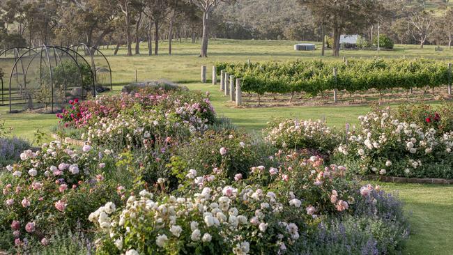 Riverdale Flower Farm near Albany in Western Australia. Picture: Helen Leighton