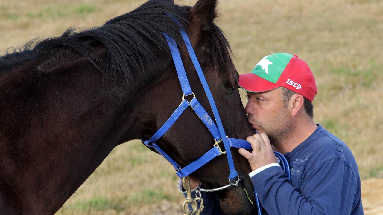 Black Caviar with assistant trainer Tony Haydon in July 2012. Picture: Ian Currie