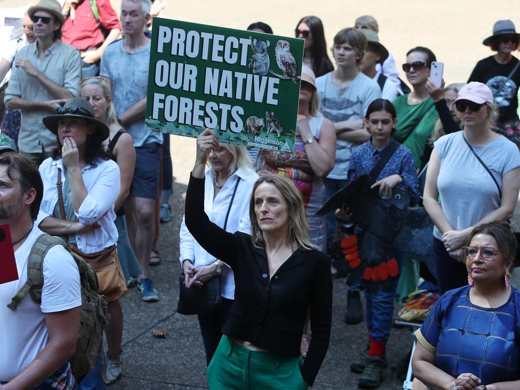 Greens MP Sue Higginson joined “March In March For Forests" on March 24, 2024 in Sydney and welcomed the seed planting for extra trees on her property that will help feed Claude and his koala mates. Pictured: Lisa Maree Williams/Getty Images