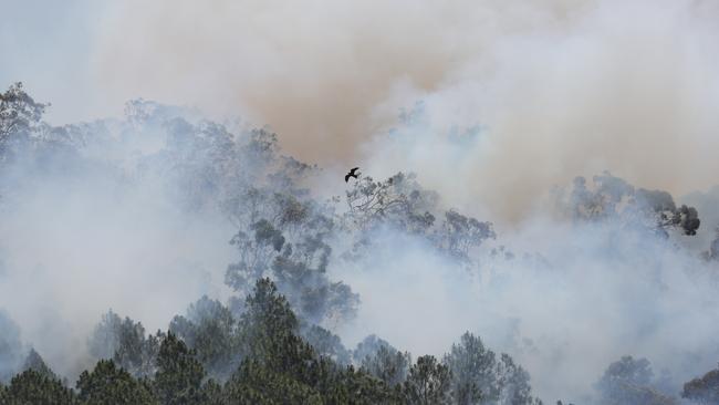 Smoke from the fire fills the sky at Maudsland. Picture: Glenn Hampson