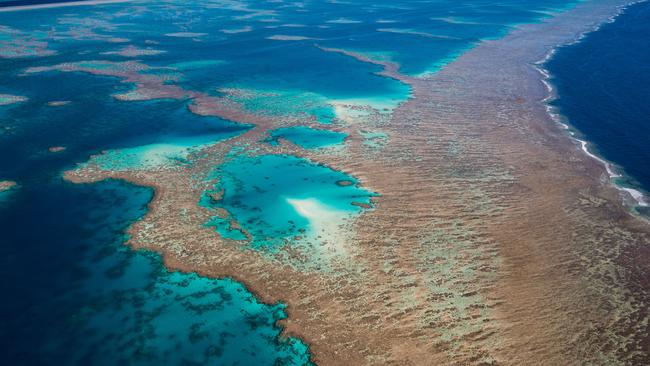 Mapping the reef through eReefs. Picture: Great Barrier Reef Foundation