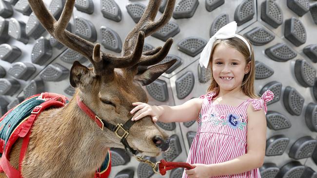 Ava Meier with a red deer at Reddacliff Place in Brisbane as part of annual Christmas celebrations. Picture: AAP Image/Josh Woning