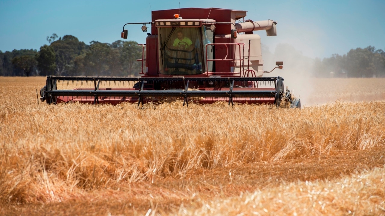 Australia's peak farming body wants to 'get the woke praise without suffering the costs'