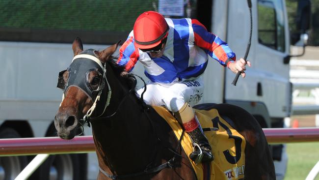 Honey Toast will drop back in distance to contest the Hollindale Stakes. Picture: Grant Peters