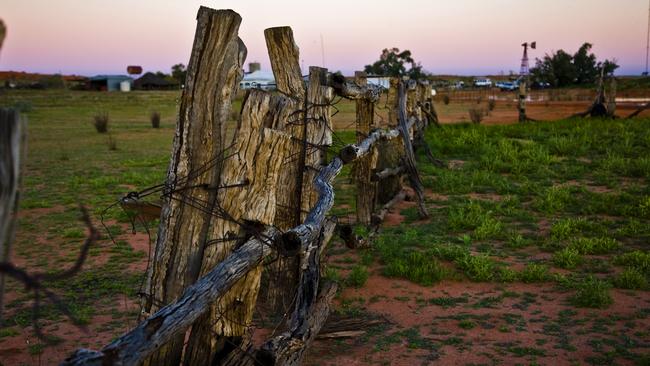 The Andado station in the Northern Territory, where the coal-to-gas plant would be based.