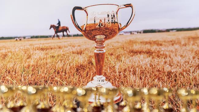 Racing NSW boss Peter V’landys has called for the Melbourne Cup to be moved to late November.