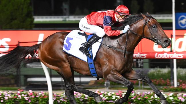 Schwarz wins the Australia Stakes with Blake Shinn in the saddle. Picture: Brett Holburt/Racing Photos via Getty Images