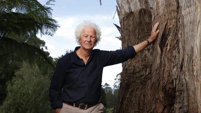 Andrew Darby has a new appreciation for Tasmania’s wilderness after getting up close to the state’s ancient trees. Picture: Nikki Davis-Jones
