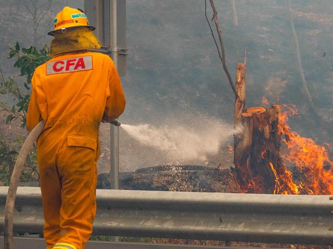 CFA tackle spot fires along the Great Alpine road just outside Omeo. The fire is burning in thick alpine forest. Picture: Jason Edwards