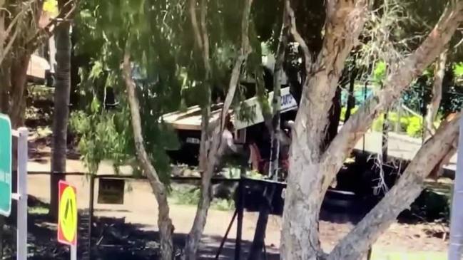 Trees chopped in Runaway Bay