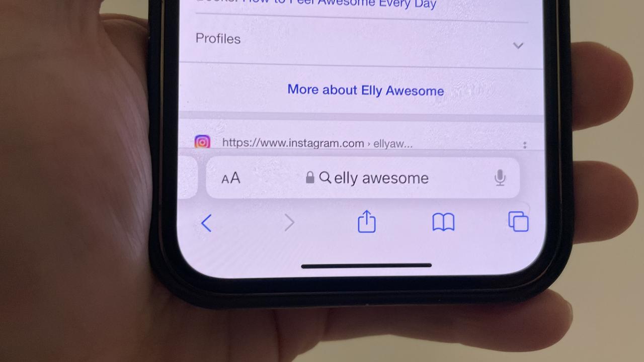 Did you know that you can search specific words on web pages in Safari? Picture: Elly Awesome
