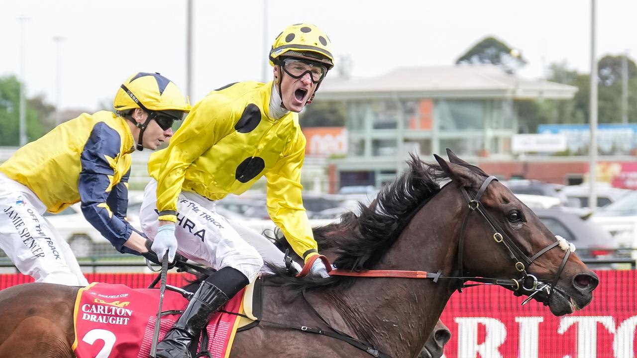 Melbourne Cup 2023 tips: Vauban top pick for Lloyd Williams, Kerry ...