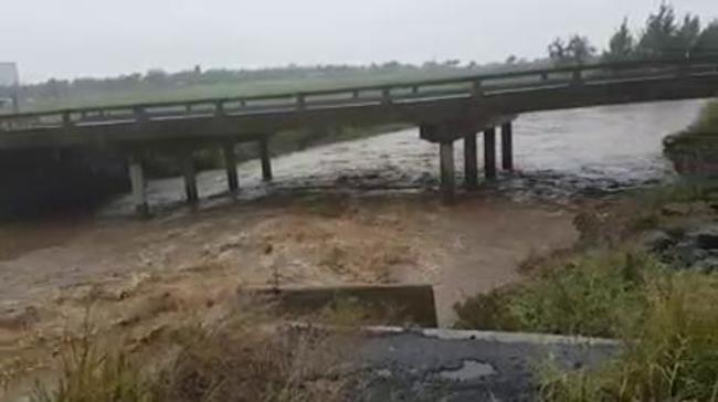 Water rushes in Gowrie Ck