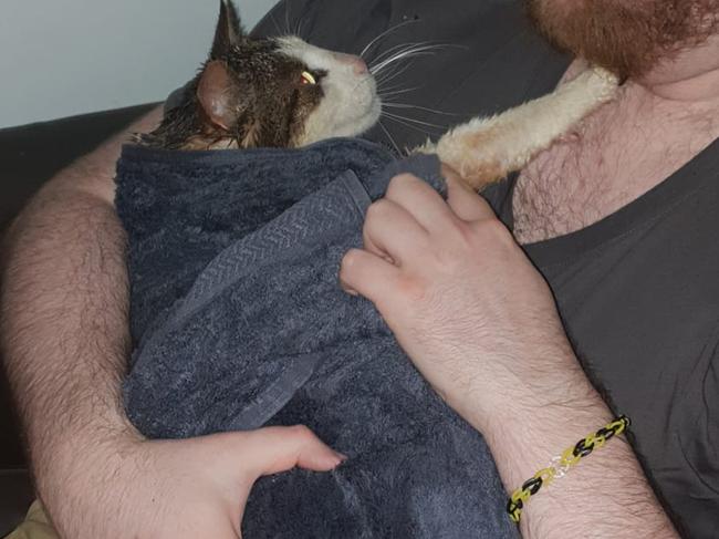 Poor Leo covered in petrol.
