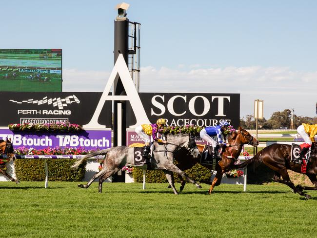 Race 7, the Auto Masters G.A Towton Cup underway during the Kingston Town Classic Day at Ascot Racecourse in Perth, Saturday, December 8, 2018. (AAP Image/Richard Wainwright) NO ARCHIVING, EDITORIAL USE ONLY