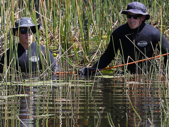 Police divers search a billabong for missing William Tyrrell days after he vanished. Picture: David Moir.