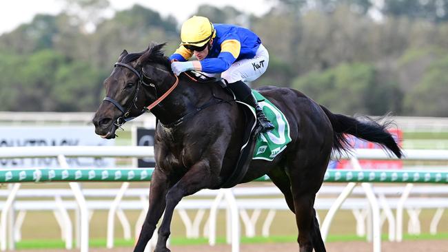 Kyle Wilson-Taylor combining with Punch Lane to win the Glasshouse Handicap. Picture: Grant Peters/Trackside Photography