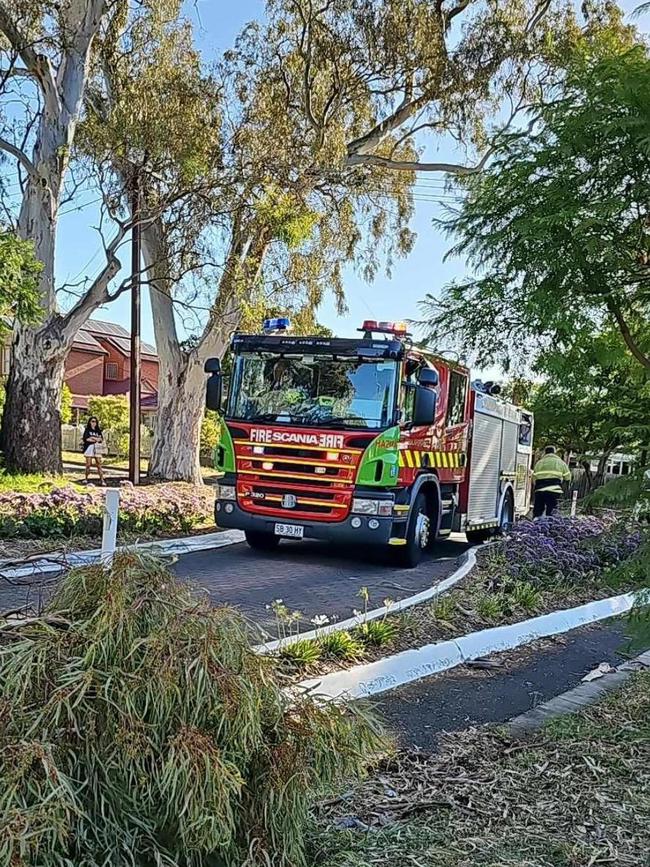 The clean up following the branch fall. Source: Eva Zafiropoulos