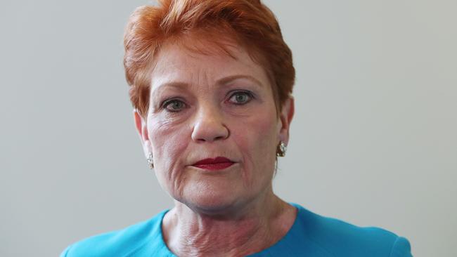 Senator Pauline Hanson at Parliament House in Canberra.