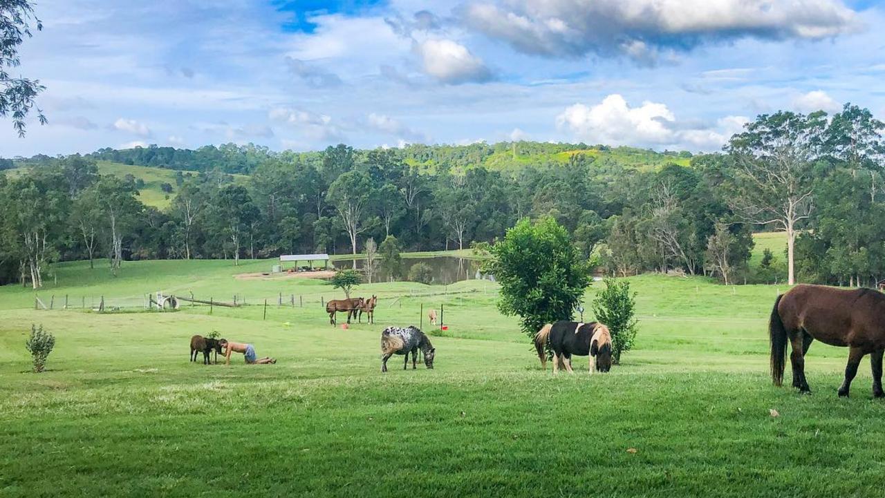 Overlooking the dam at Woollahra Homestead in Kybong. PHOTO: Supplied