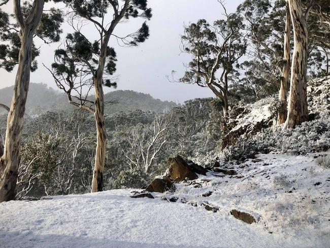 Lower Longley above Vinces Saddle. Picture: DAVE REYNOLDS