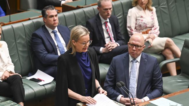 Sussan Ley said the opposition would work with the government to ‘combat the scourge of domestic violence’. Picture: NewsWire / Martin Ollman