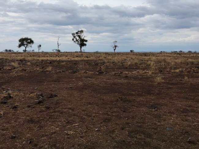 Lorna Bean’s farm east of Dunedoo before the rain.