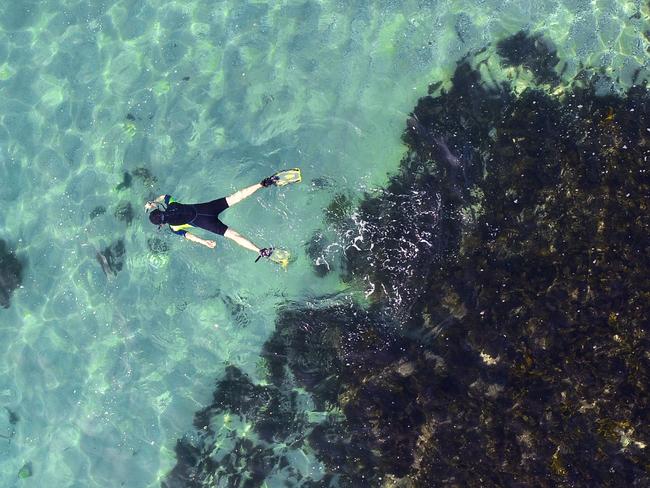 Aerial images above the northern beaches showing crystal clear waters at Shelly Beach, where a marine park could be extended. Picture: Sam Ruttyn.