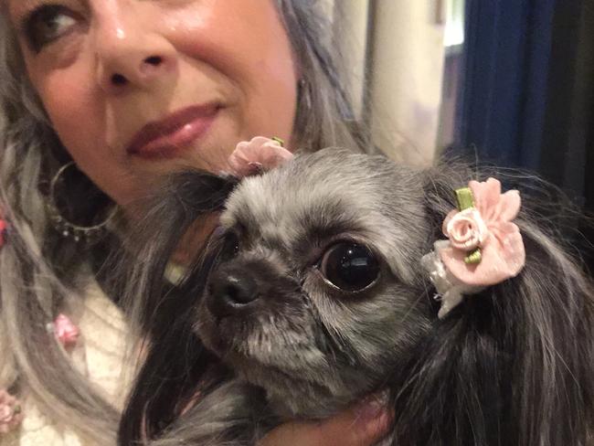 Taking after her owner.
