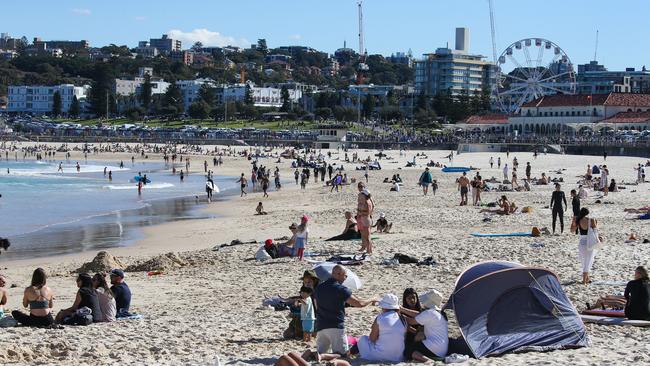 Shark nets will likely be erected in September. Picture: Newscorp Daily Telegraph / Gaye Gerard