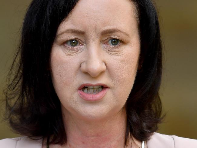 BRISBANE, AUSTRALIA - NewsWire Photos JANUARY 17, 2022:Health Minister Yvette D'Ath talks at a press conference at the Speakers Green, Parliament House.  Picture: NCA NewsWire / John Gass