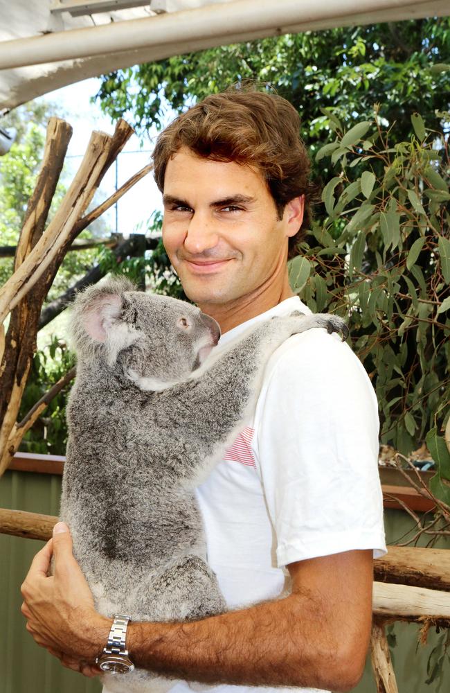 Roger Federer visits Lone Pine Koala Sanctuary to cuddle Tinkerbell on his first visit to Brisbane in 2013 on the opening day of the Brisbane International. Picture: Sarah Keayes
