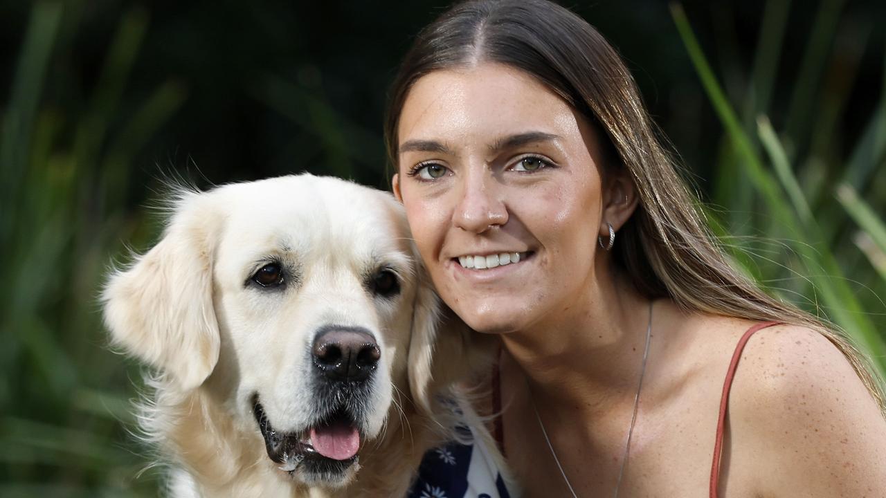 I was having nightmares, then my dog changed everything
