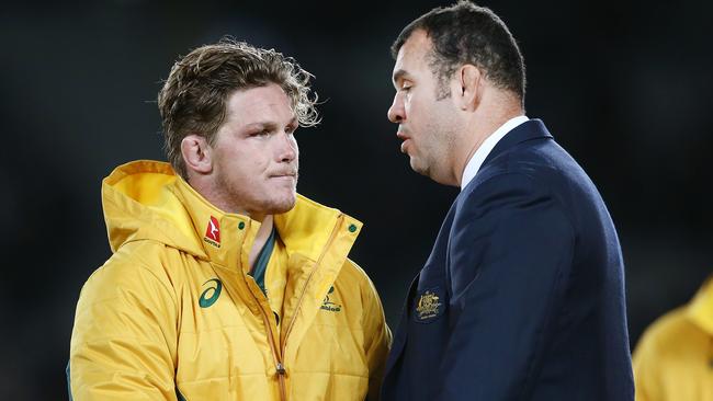 Michael Cheika will be leading the Wallabies through to the World Cup.