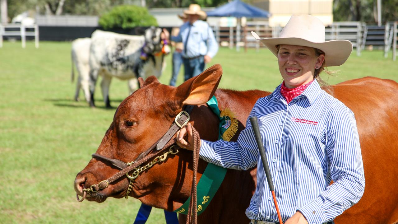 Livestock events are a big favourite, with Dexter stud cattle featuring at the 2023 Proston Agricultural Show. Picture: Holly Cormack