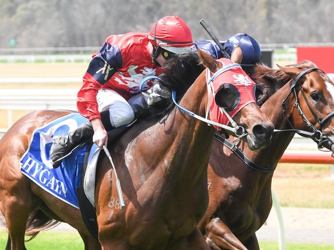 Hawkins ridden by Luke Nolen wins the Insuremyfleet Maiden Plate at Seymour Racecourse on November 15, 2024 in Seymour, Australia. (Photo by Brett Holburt/Racing Photos via Getty Images)